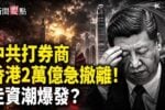 香港希望之聲