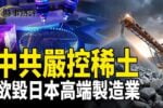 香港希望之聲