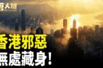 香港希望之聲