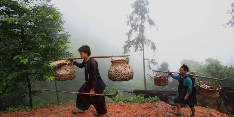 CONGJIANG COUNTY, CHINA - MAY 27: (CHINA OUT) A Miao ethnic minority couple walk on a mountain road on their way to a field at Gaodiao Village on May 27, 2006 in Congjiang County of Guizhou Province, China. The Gaodiao Village, home to about 200 families of 1,100 Miao people, is characteristic with its well-protected primitive features and customs. It still keeps the Miao traditions of about 2,000 years ago. Residents there live an almost isolated and self-sufficient life. With a population of 8,940,116, the Miao people is one of the largest ethnic minorities in southwest China. The Miao have a highly diversified culture, including music, dancing, folk literature and craftworks. (Photo by China Photos/Getty Images)