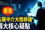 香港希望之聲