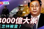 香港希望之聲