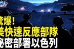 香港希望之聲