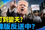 香港希望之聲 香港希望之聲