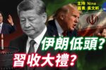 香港希望之聲 香港希望之聲