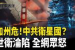 香港希望之聲