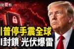 香港希望之聲