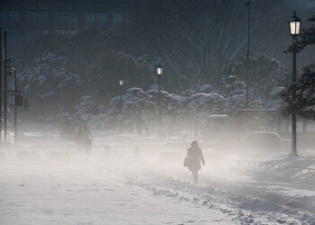 一場雪夜改變人生 螞蟻由那裏來【廣結善緣千萬家(生活拾趣)第十九集】
