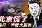 香港希望之聲
