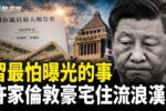 香港希望之聲