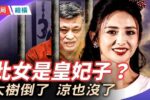 香港希望之聲