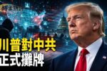 香港希望之聲