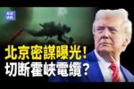 香港希望之聲