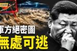 香港希望之聲