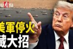 香港希望之聲