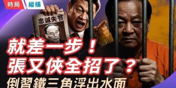 【時局縱橫】逼宮！政變！張又俠全招了？馬興瑞竟是接班人，王岐山暗中串聯，退休筆桿子充當帶話人：中共最血腥的權鬥！   