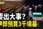 香港希望之聲
