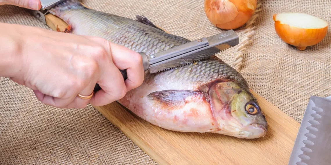 魚販成富戶、梁子湖的傳說、貓孩、釋鹿得人【姐姐講故事】
