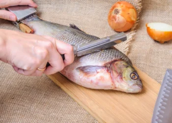魚販成富戶、梁子湖的傳說、貓孩、釋鹿得人【姐姐講故事】