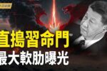 香港希望之聲