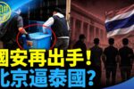 香港希望之聲 香港希望之聲