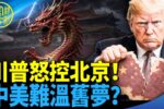 香港希望之聲