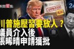 香港希望之聲