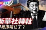 香港希望之聲