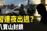 香港希望之聲