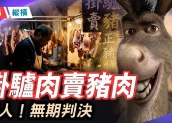 【時局縱橫】造假該罰，可誰來管執法？一袋假驢肉，牽出的司法信任危機！主持： 黃容    