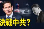 香港希望之聲