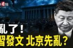 香港希望之聲