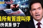 香港希望之聲