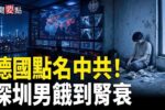 香港希望之聲