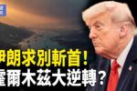 香港希望之聲