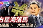 香港希望之聲