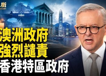 【唐人街】香港官員喪盡天良，加害民主人士，鄒幸彤媽媽、李卓人太太他們的付出，是值得我們佩服和尊敬的！ 