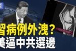 香港希望之聲