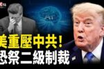香港希望之聲