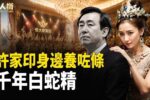 香港希望之聲