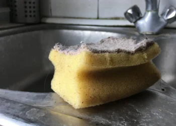 廚房海綿是細菌溫床 記憶力太好反而是壞事【廣結善緣千萬家（生活拾趣）第二十四集】