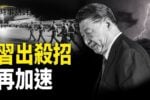 香港希望之聲