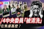 香港希望之聲