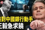 香港希望之聲