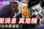 香港希望之聲