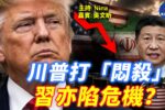 香港希望之聲