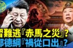 香港希望之聲