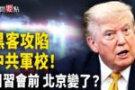 香港希望之聲