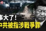 香港希望之聲
