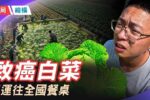 香港希望之聲